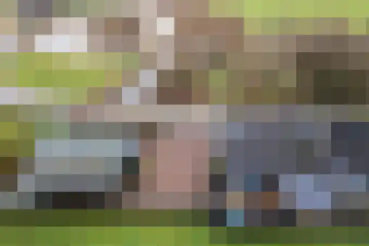 Kooilandsedijk 23 Strijen thumbnail 7