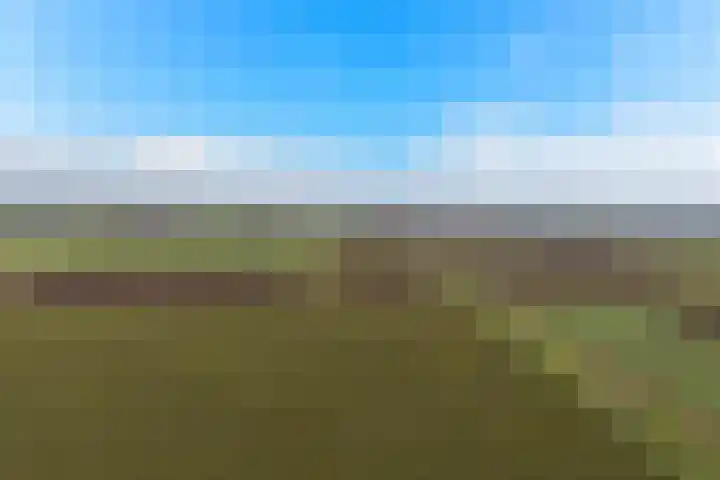 Kooilandsedijk 23 Strijen thumbnail 70