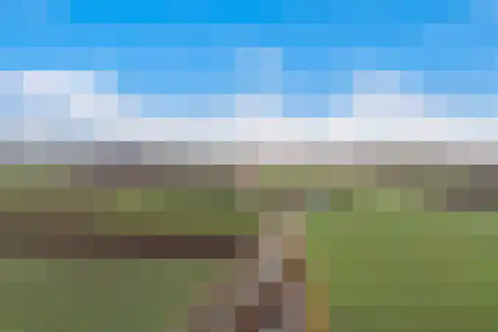 Kooilandsedijk 23 Strijen thumbnail 71