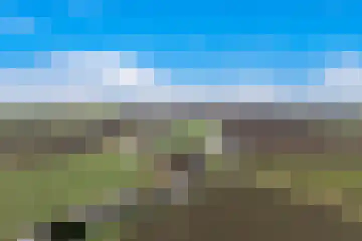 Kooilandsedijk 23 Strijen thumbnail 72