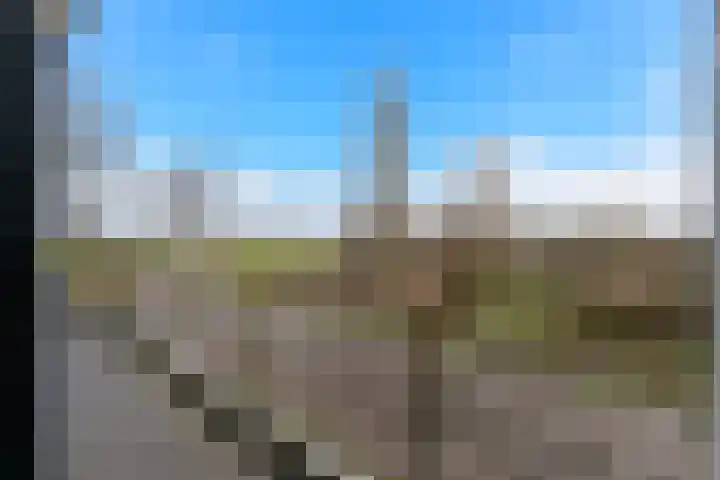 Kooilandsedijk 23 Strijen thumbnail 73