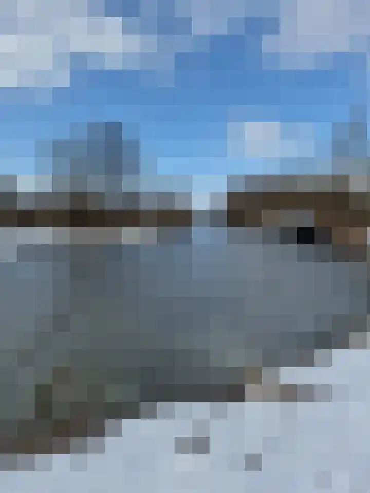Kooilandsedijk 23 Strijen thumbnail 75
