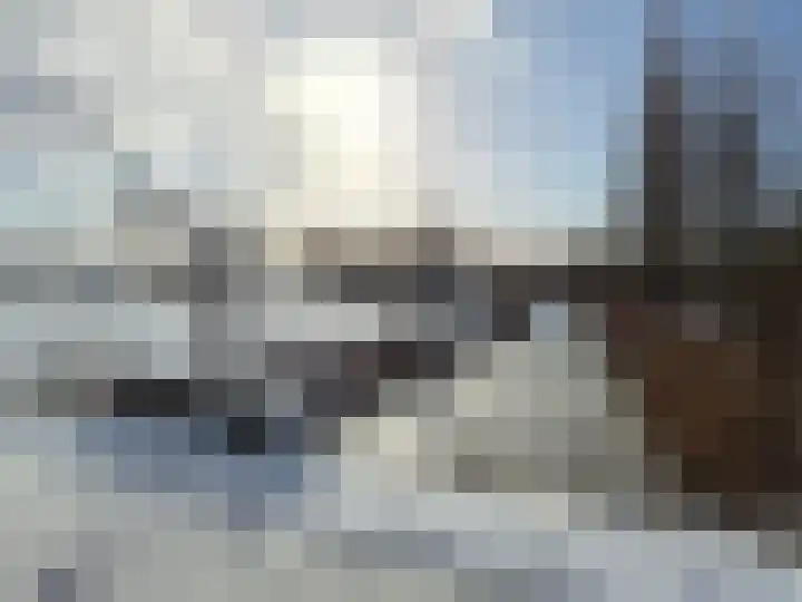 Kooilandsedijk 23 Strijen thumbnail 77