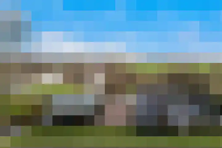 Kooilandsedijk 23 Strijen thumbnail 8