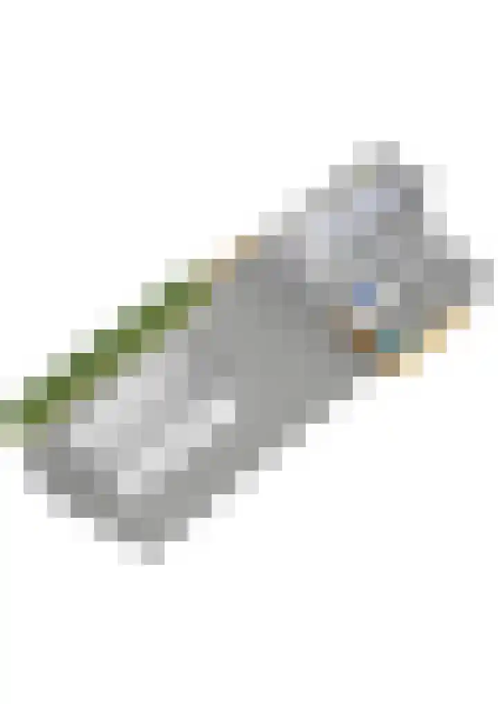 Kooilandsedijk 23 Strijen thumbnail 88
