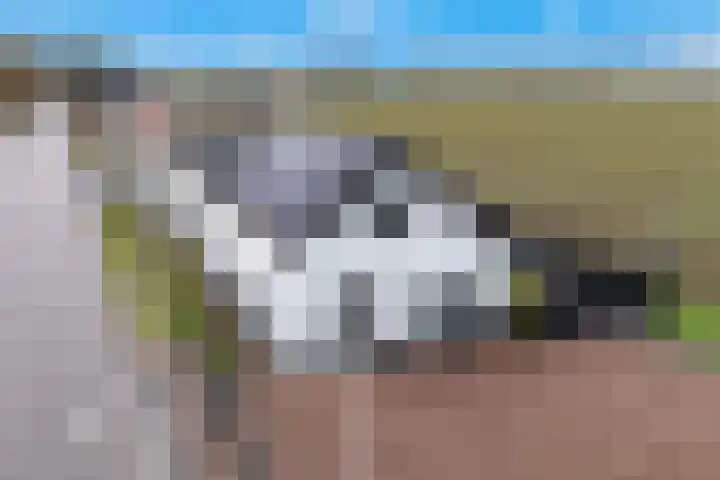 Kooilandsedijk 23 Strijen thumbnail 9