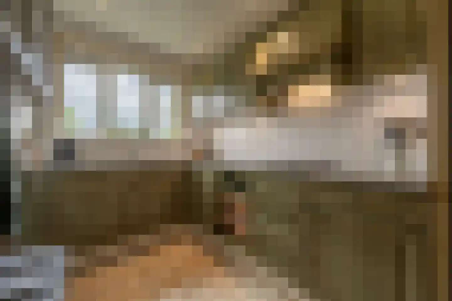 Kooilandsedijk 5 Strijen thumbnail 13