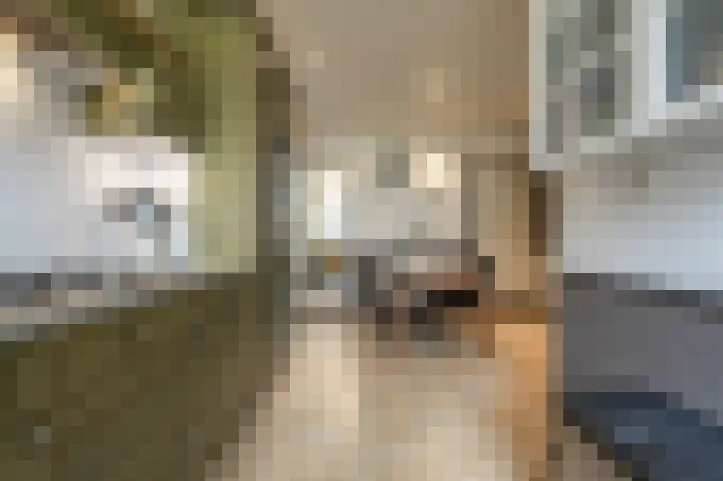 Kooilandsedijk 5 Strijen thumbnail 14
