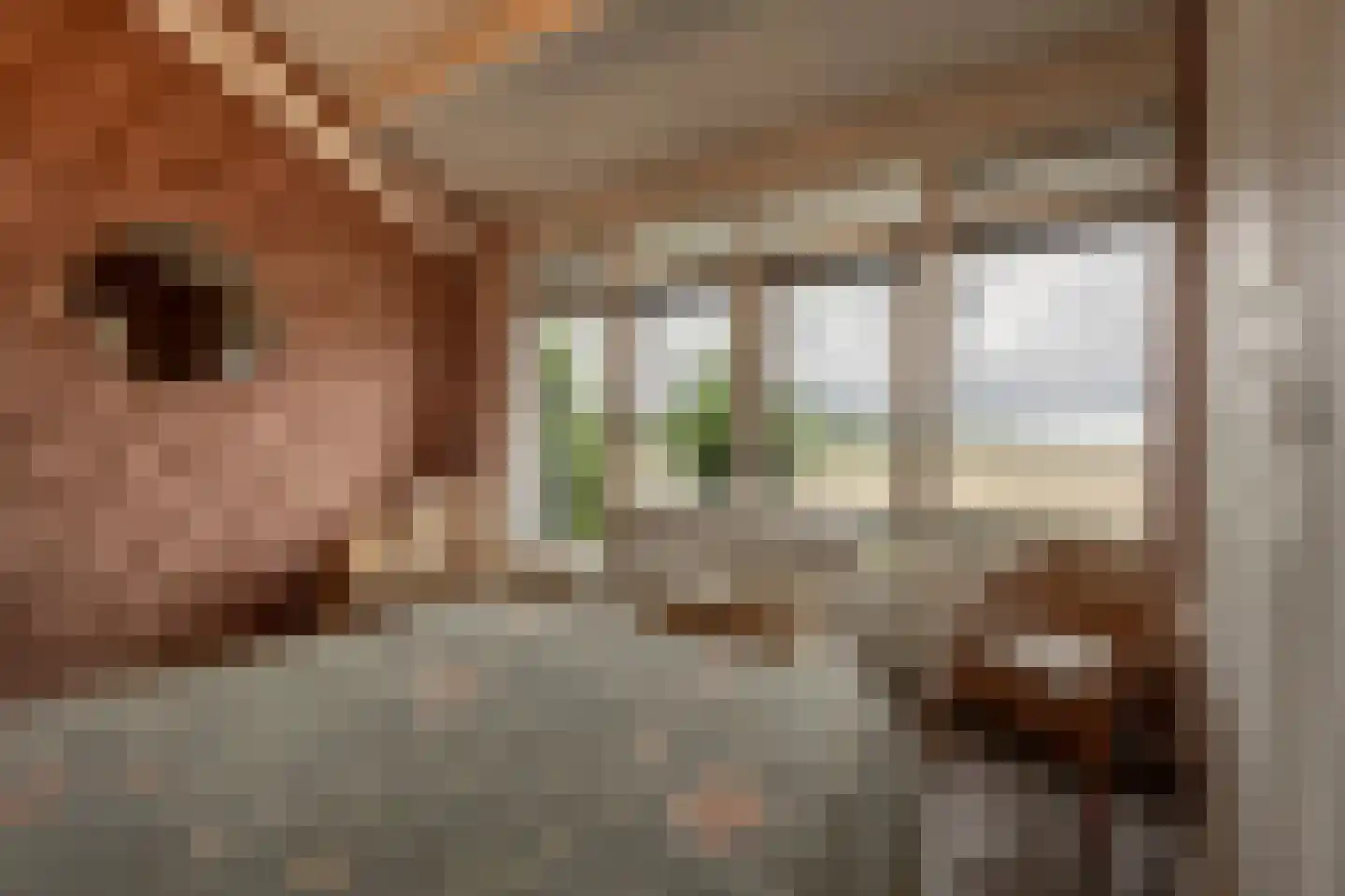 Kooilandsedijk 5 Strijen thumbnail 17