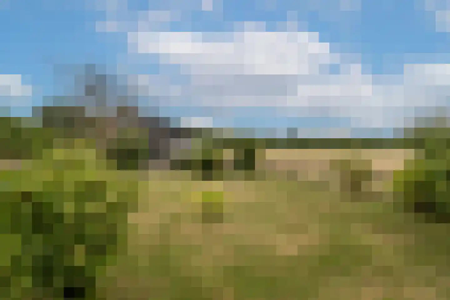 Kooilandsedijk 5 Strijen thumbnail 19