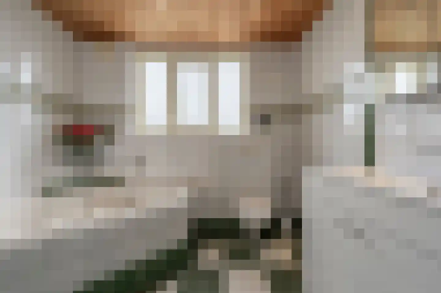 Kooilandsedijk 5 Strijen thumbnail 20