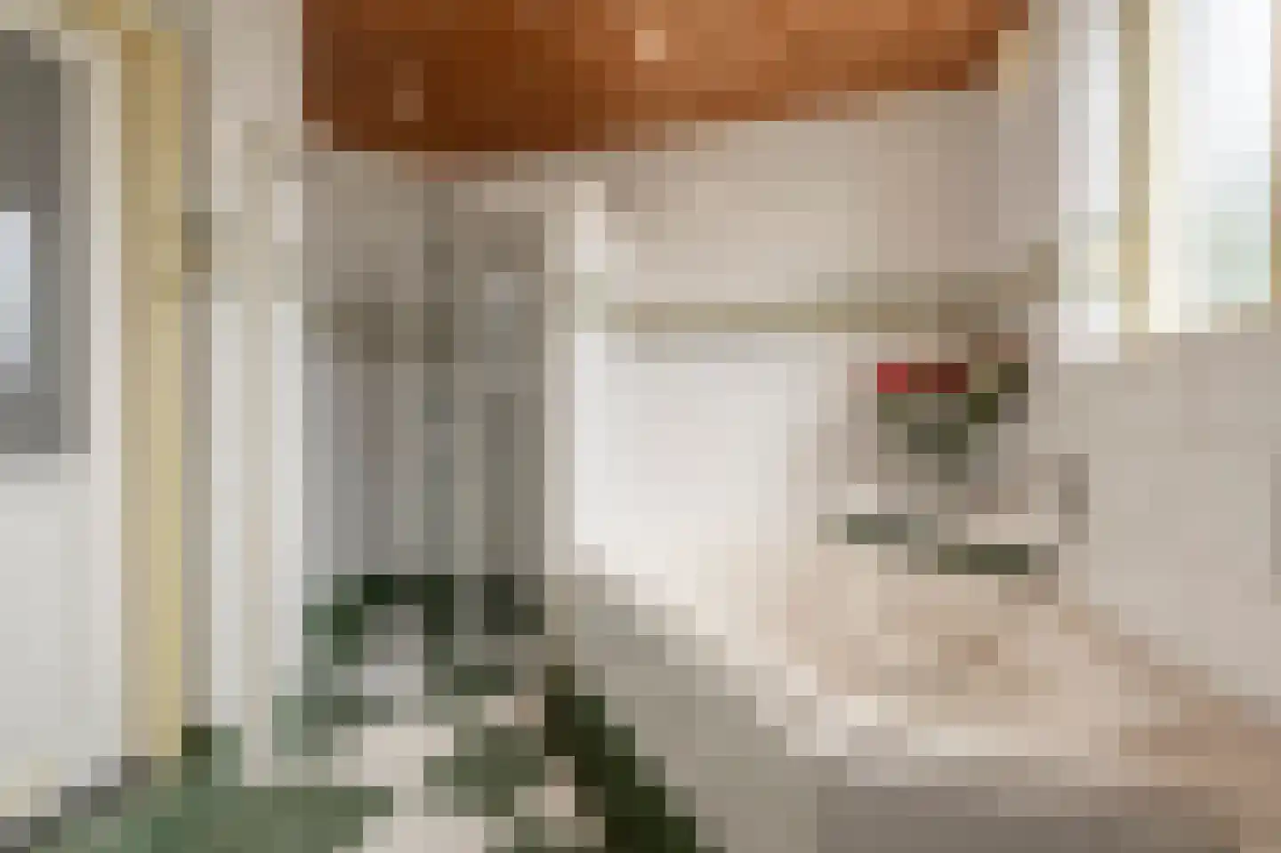 Kooilandsedijk 5 Strijen thumbnail 21