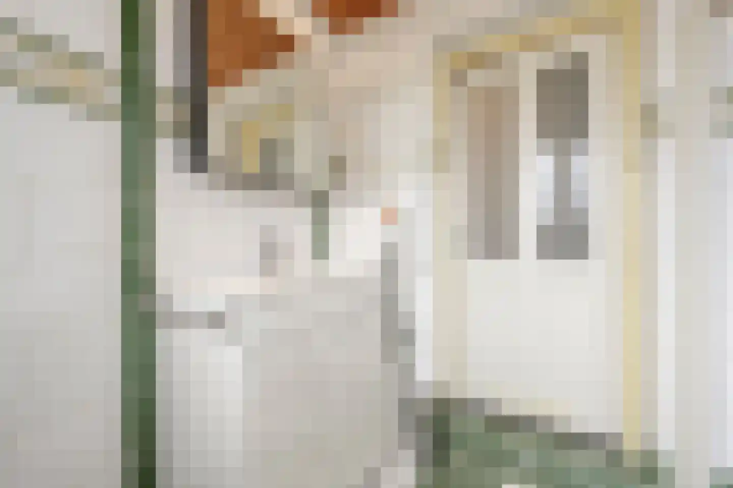 Kooilandsedijk 5 Strijen thumbnail 22