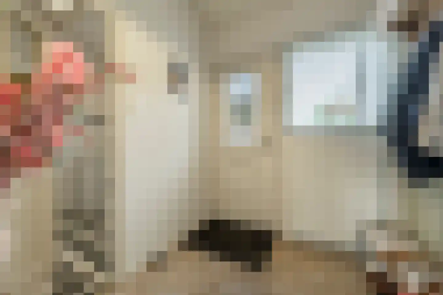 Kooilandsedijk 5 Strijen thumbnail 24
