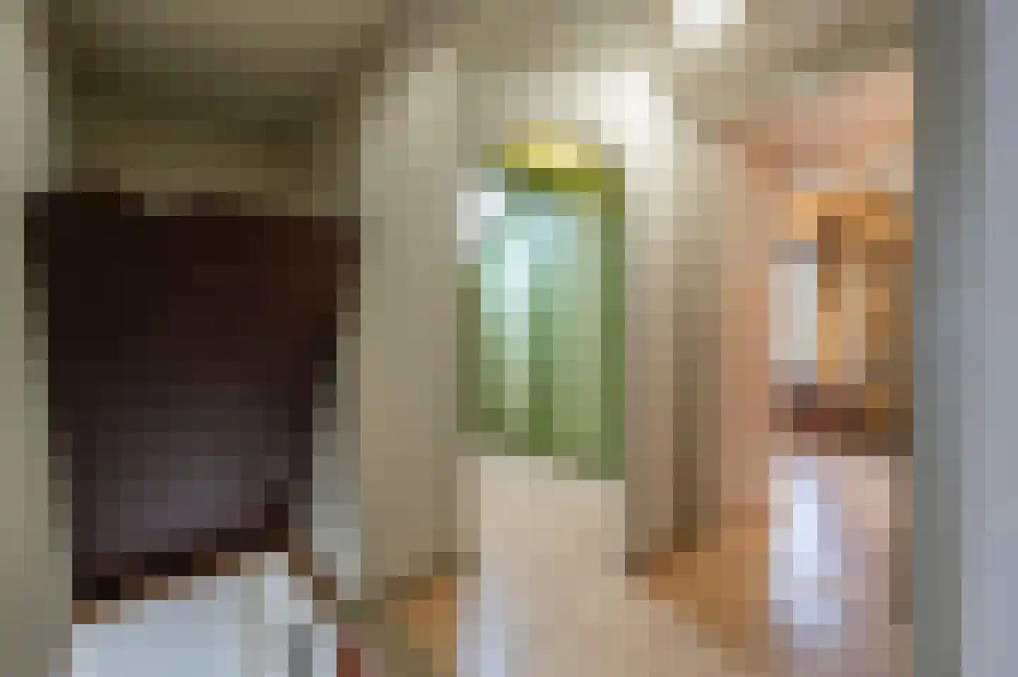 Kooilandsedijk 5 Strijen thumbnail 25