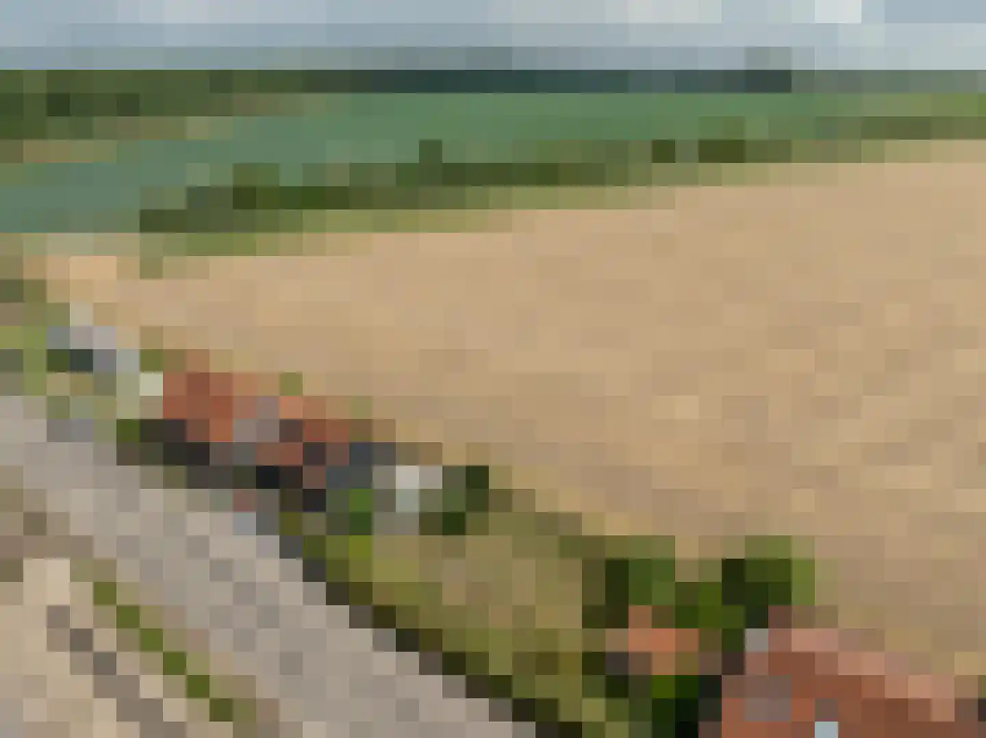 Kooilandsedijk 5 Strijen foto 3