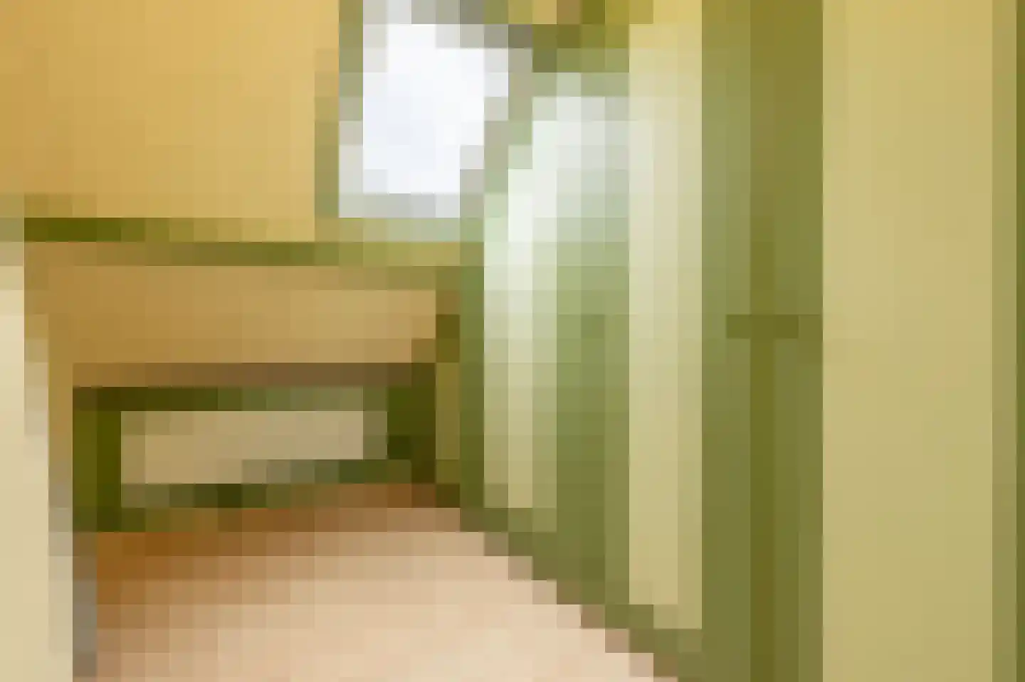 Kooilandsedijk 5 Strijen thumbnail 30