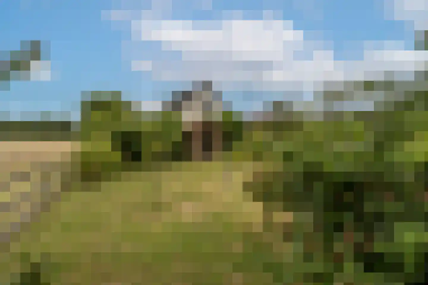Kooilandsedijk 5 Strijen thumbnail 33