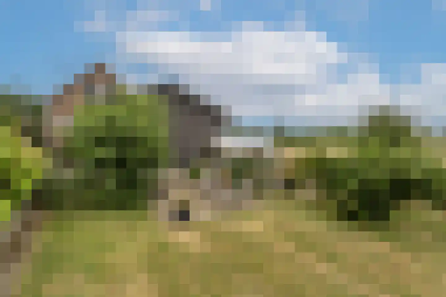 Kooilandsedijk 5 Strijen thumbnail 35