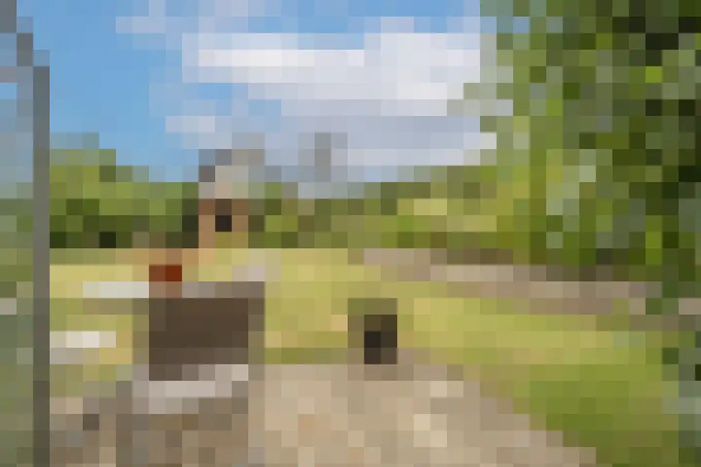 Kooilandsedijk 5 Strijen thumbnail 36