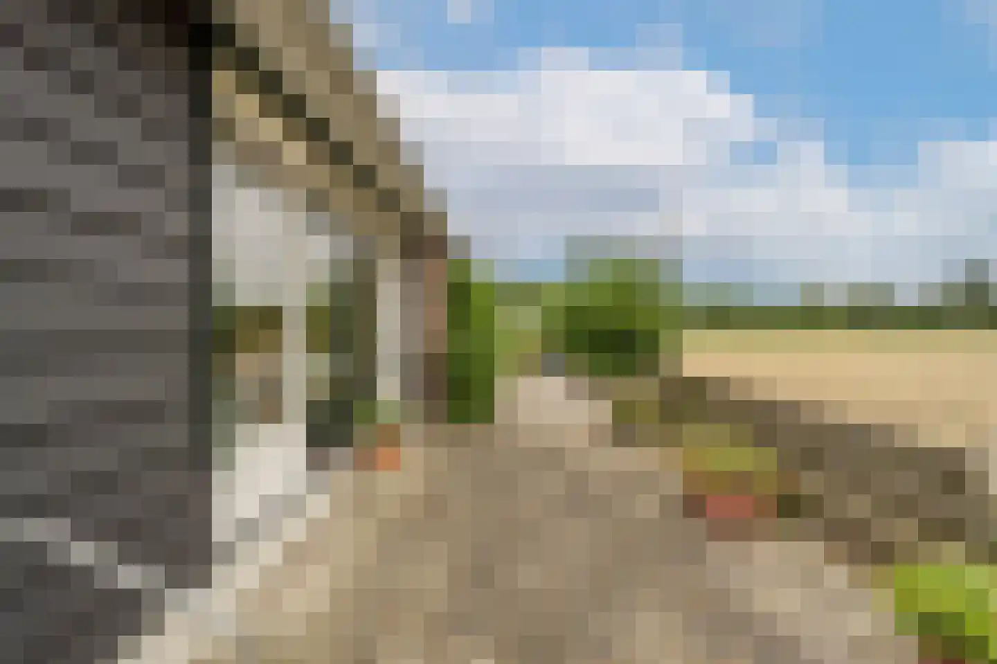 Kooilandsedijk 5 Strijen thumbnail 37