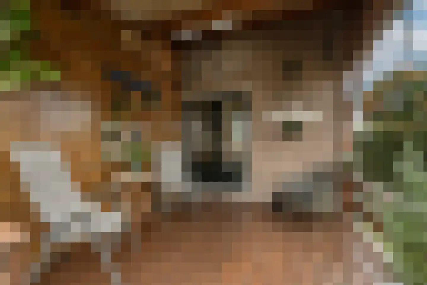 Kooilandsedijk 5 Strijen thumbnail 39