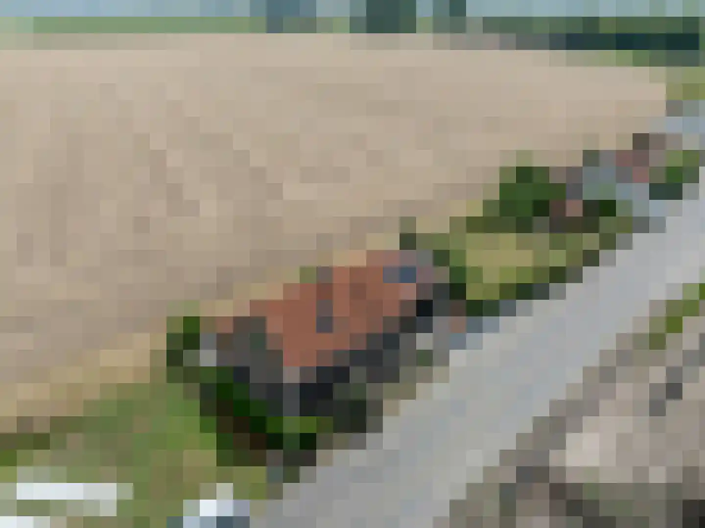Kooilandsedijk 5 Strijen thumbnail 46