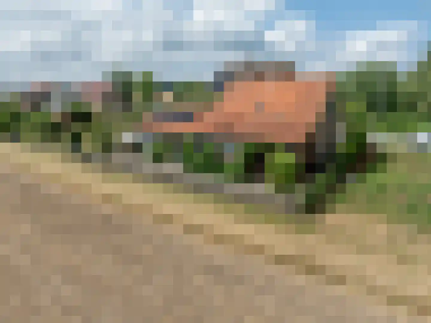 Kooilandsedijk 5 Strijen thumbnail 48