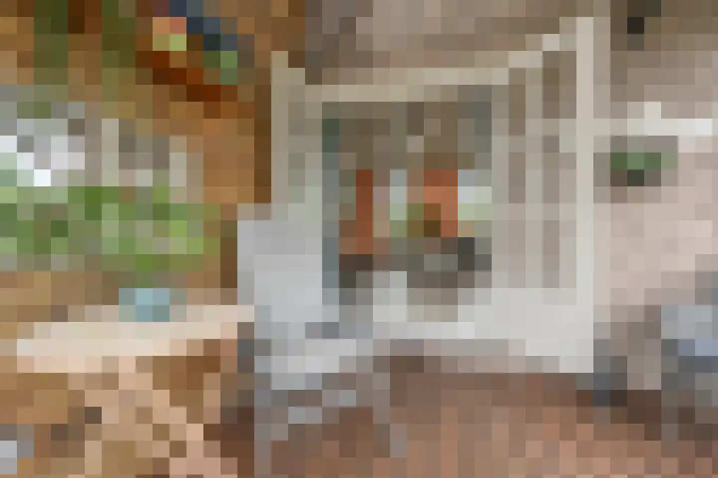 Kooilandsedijk 5 Strijen thumbnail 8