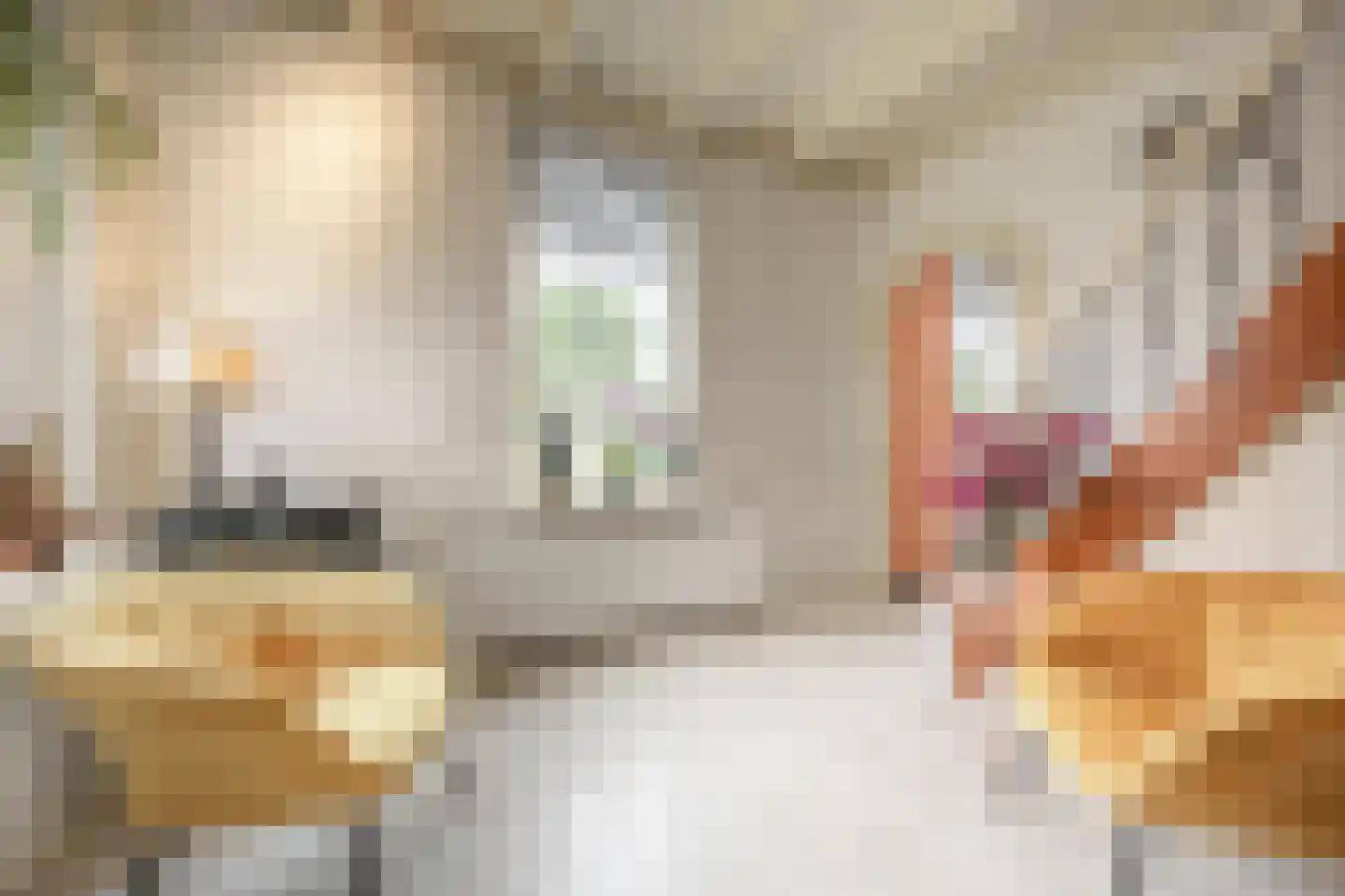 Kooilandsedijk 5 Strijen thumbnail 9