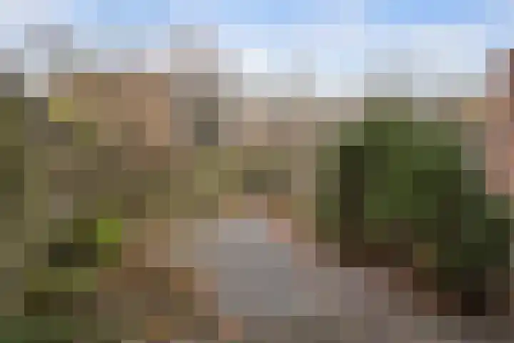 Kooimansland 28 Heinenoord thumbnail 23