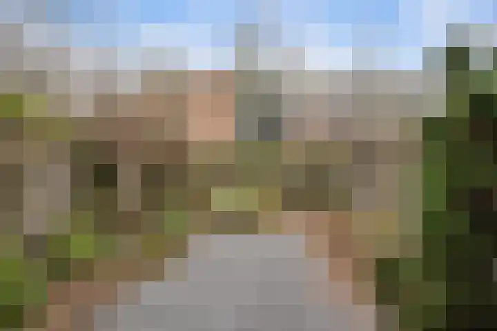 Kooimansland 28 Heinenoord thumbnail 24