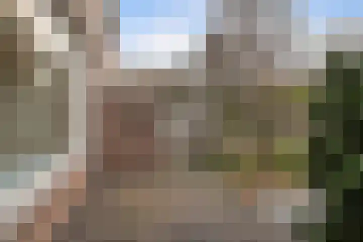 Kooimansland 28 Heinenoord thumbnail 25