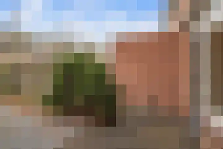 Kooimansland 28 Heinenoord thumbnail 26