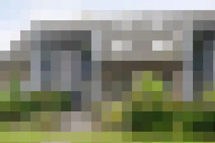 Kooimanstraat 27 Wilhelminaoord thumbnail 10