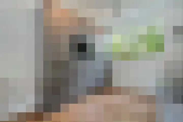 Kooimanstraat 27 Wilhelminaoord thumbnail 16