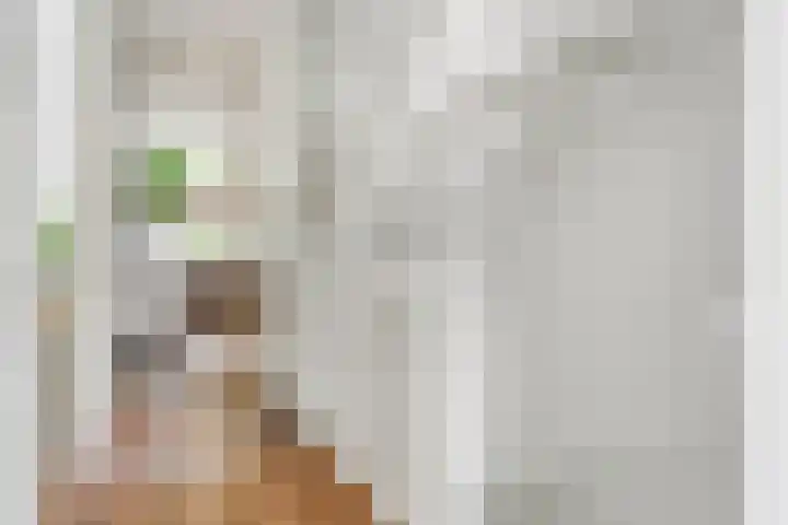 Kooimanstraat 27 Wilhelminaoord thumbnail 20