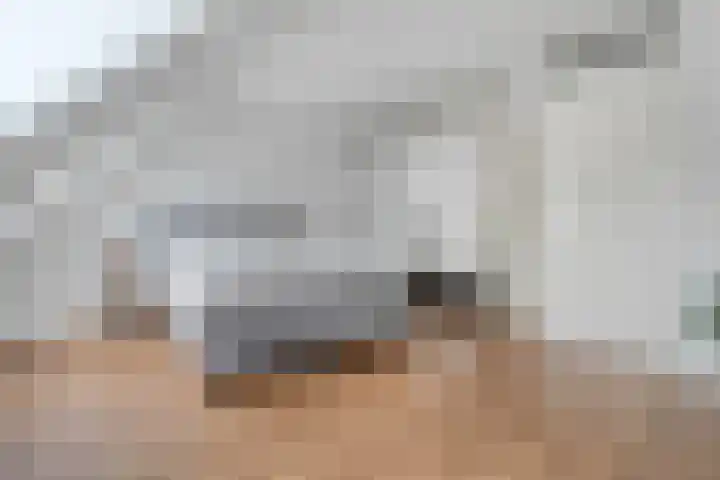 Kooimanstraat 27 Wilhelminaoord thumbnail 23