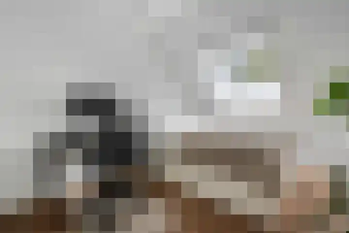 Kooimanstraat 27 Wilhelminaoord thumbnail 24