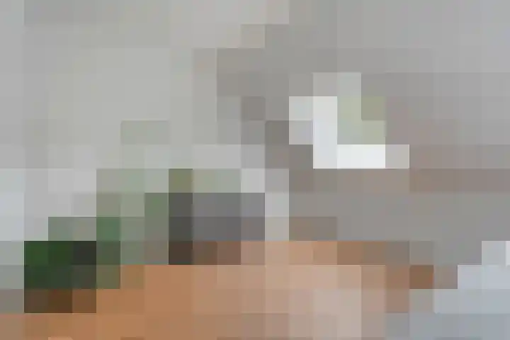 Kooimanstraat 27 Wilhelminaoord thumbnail 26