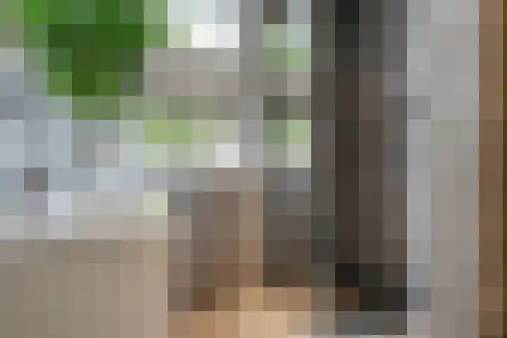Kooimanstraat 27 Wilhelminaoord thumbnail 28