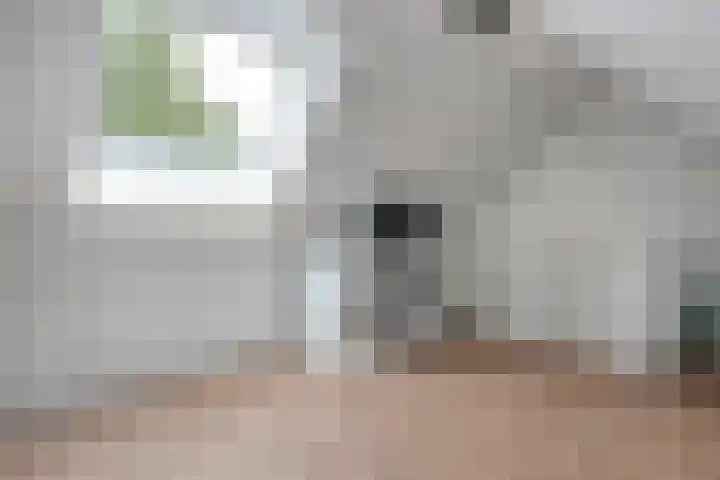 Kooimanstraat 27 Wilhelminaoord thumbnail 31
