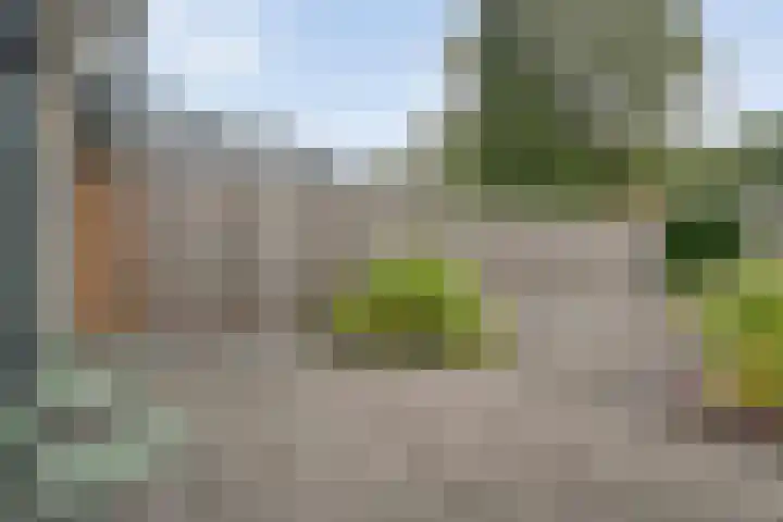 Kooimanstraat 27 Wilhelminaoord thumbnail 32
