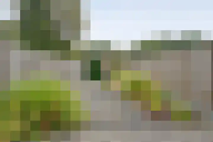 Kooimanstraat 27 Wilhelminaoord thumbnail 34