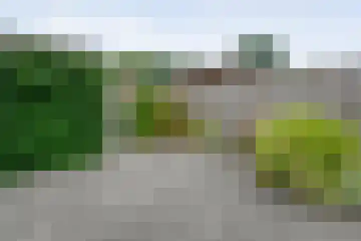 Kooimanstraat 27 Wilhelminaoord thumbnail 35