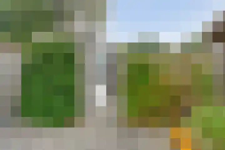 Kooimanstraat 27 Wilhelminaoord thumbnail 36