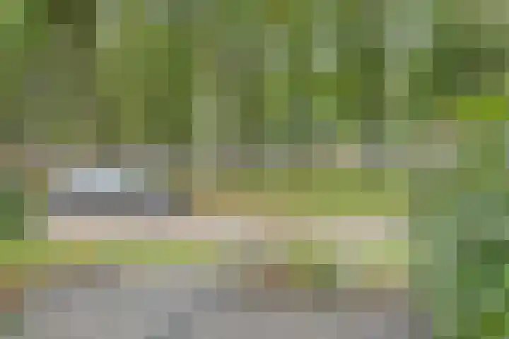 Kooimanstraat 27 Wilhelminaoord thumbnail 5