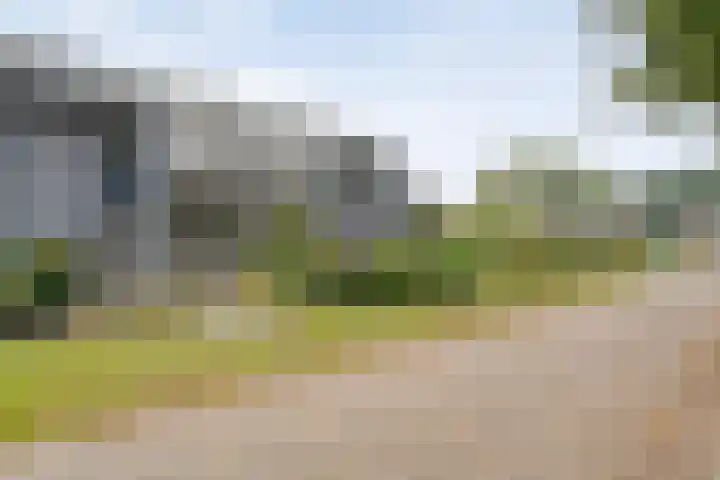 Kooimanstraat 27 Wilhelminaoord thumbnail 6