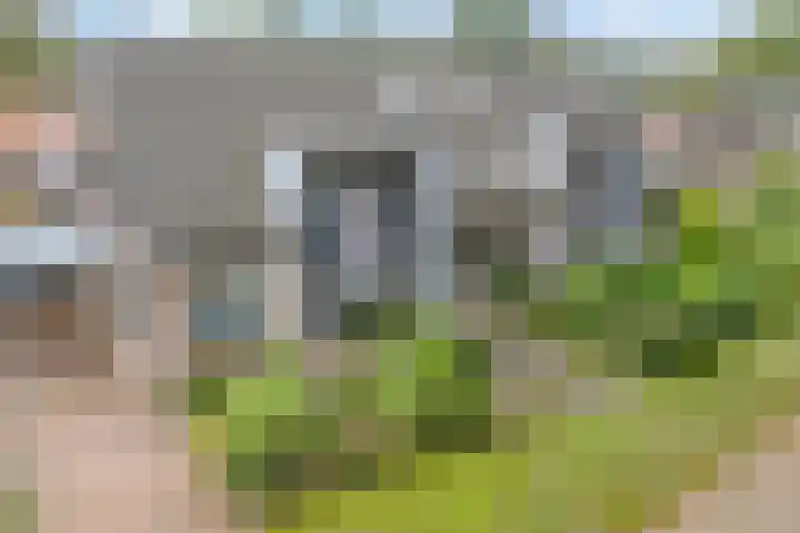 Kooimanstraat 27 Wilhelminaoord thumbnail 8