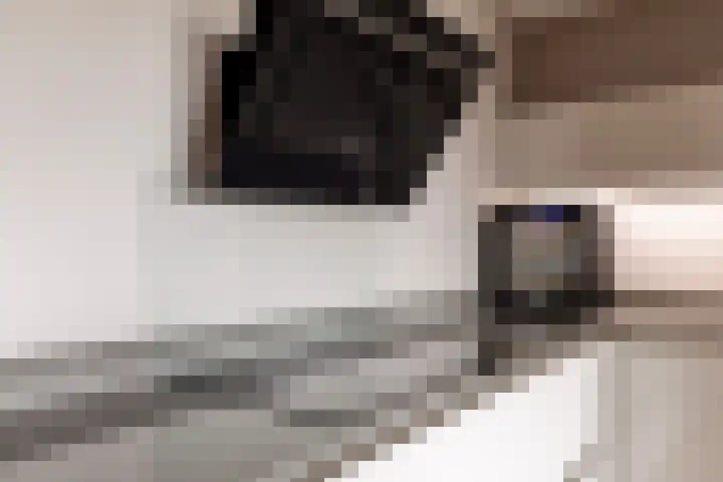 Kooimeerlaan 103 Alkmaar thumbnail 10